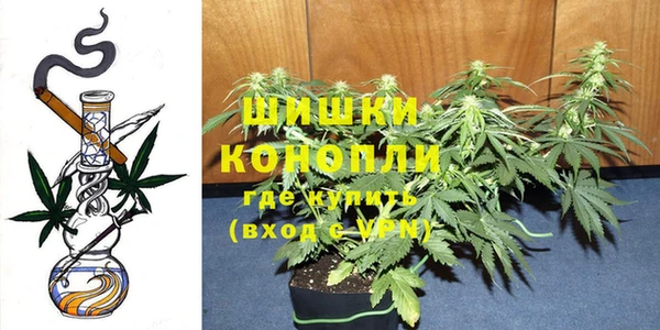 ГАЛЛЮЦИНОГЕННЫЕ ГРИБЫ Ессентукская